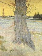 Vincent Van Gogh Trunk of an old Yew Tree (nn04) china oil painting artist